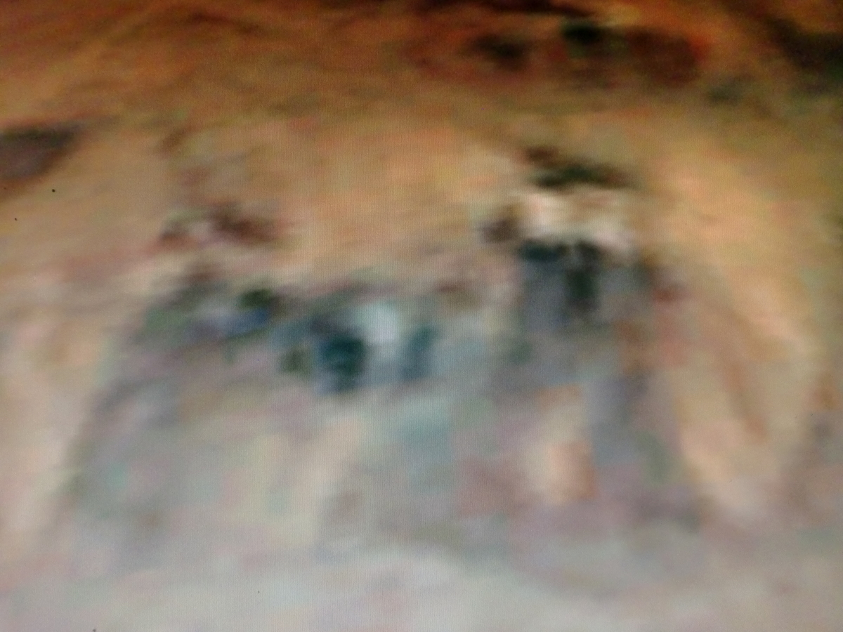 f:id:sun369:20210607074425j:plain