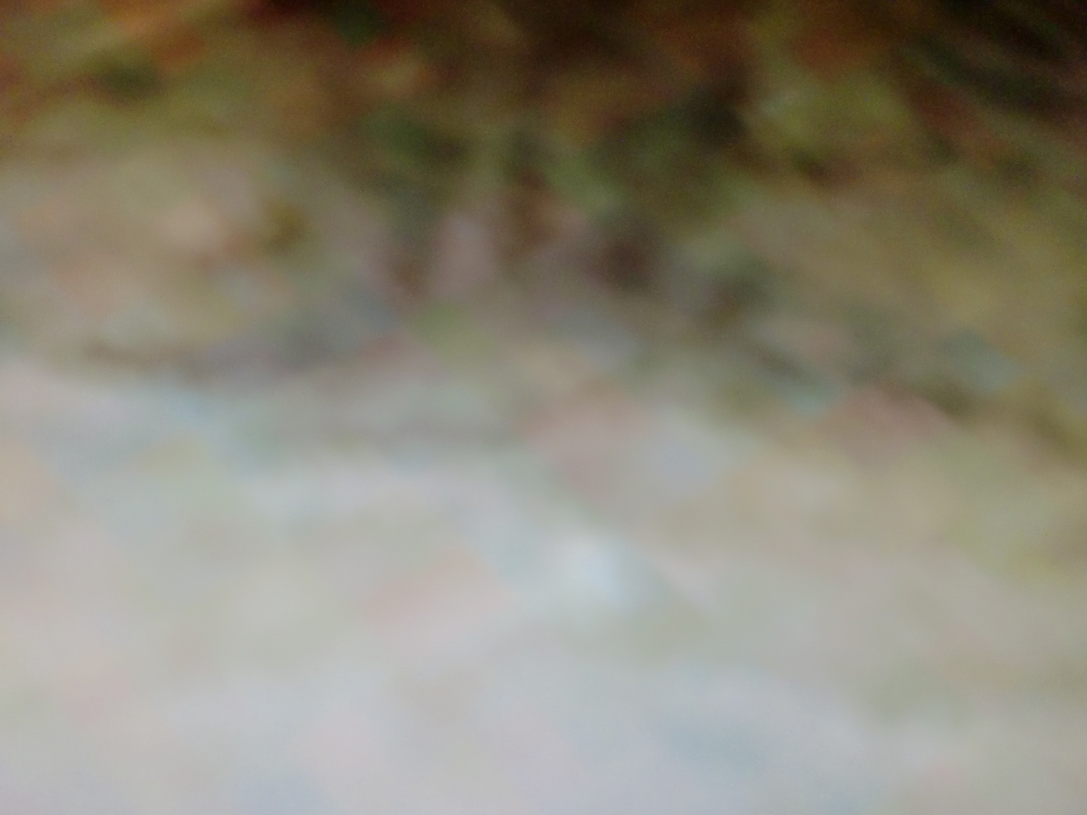 f:id:sun369:20210607074453j:plain