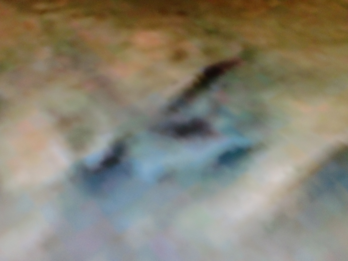f:id:sun369:20210607074511j:plain