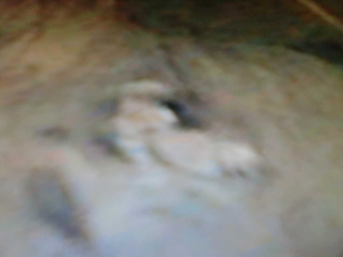 f:id:sun369:20210607074706j:plain