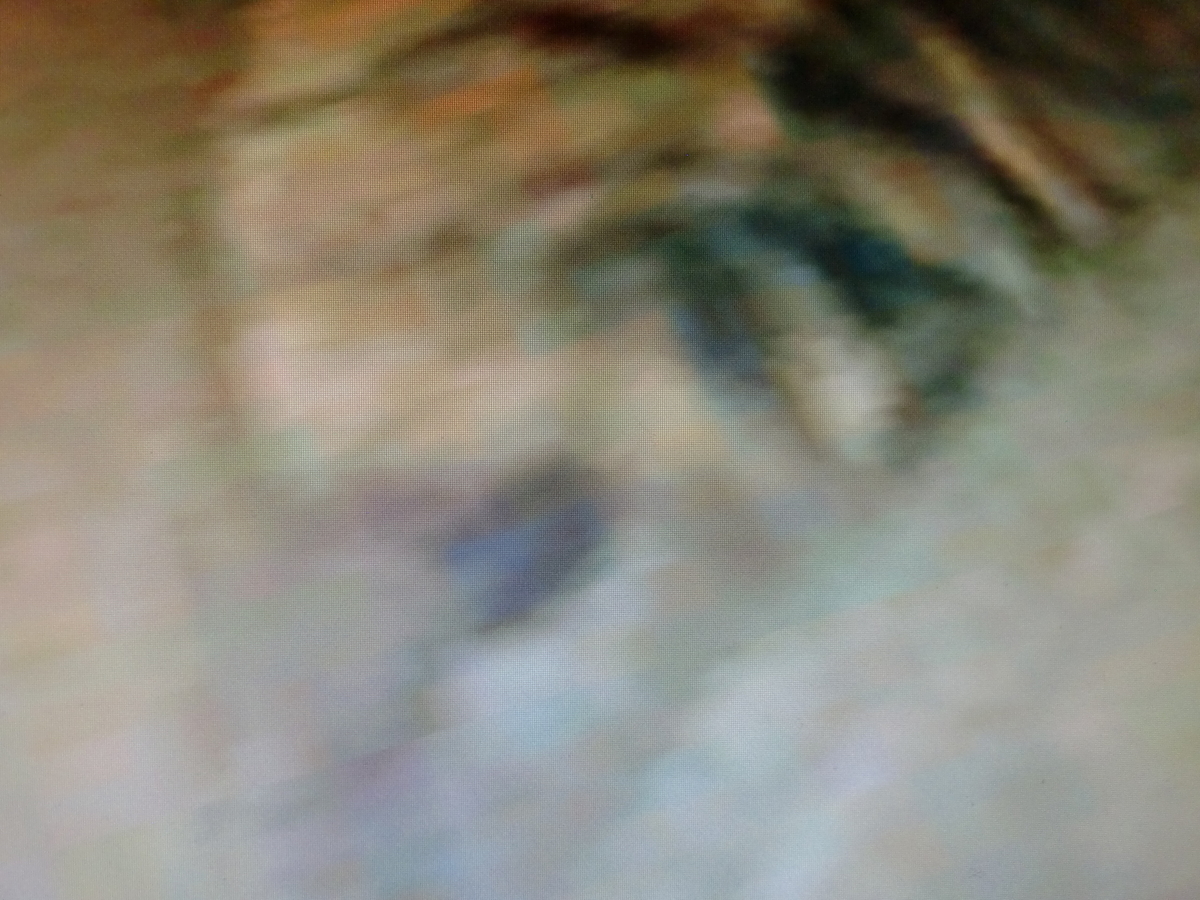 f:id:sun369:20210607074724j:plain