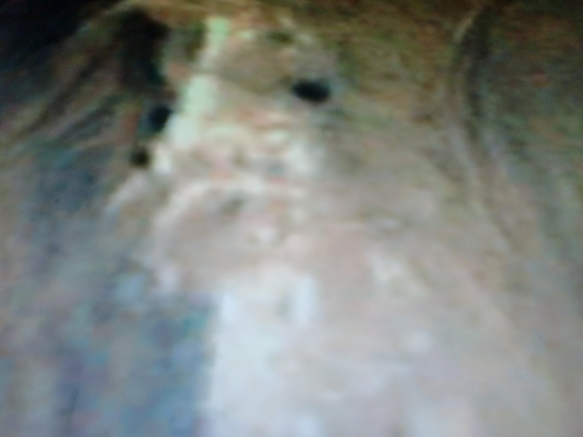 f:id:sun369:20210607074756j:plain