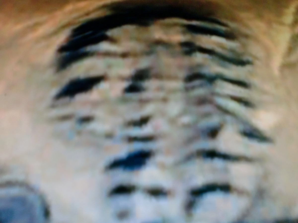 f:id:sun369:20210607074847j:plain