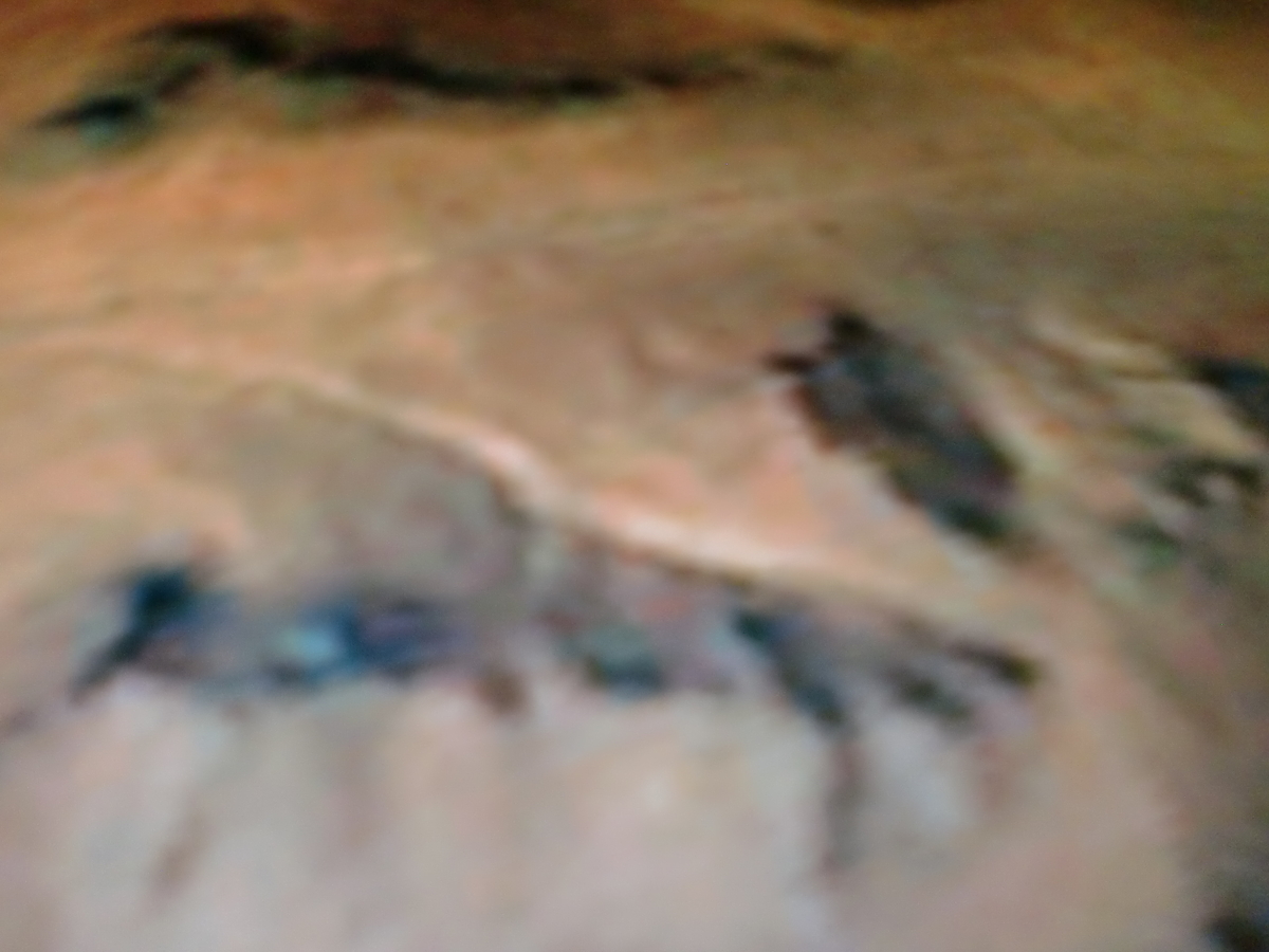 f:id:sun369:20210607080746j:plain