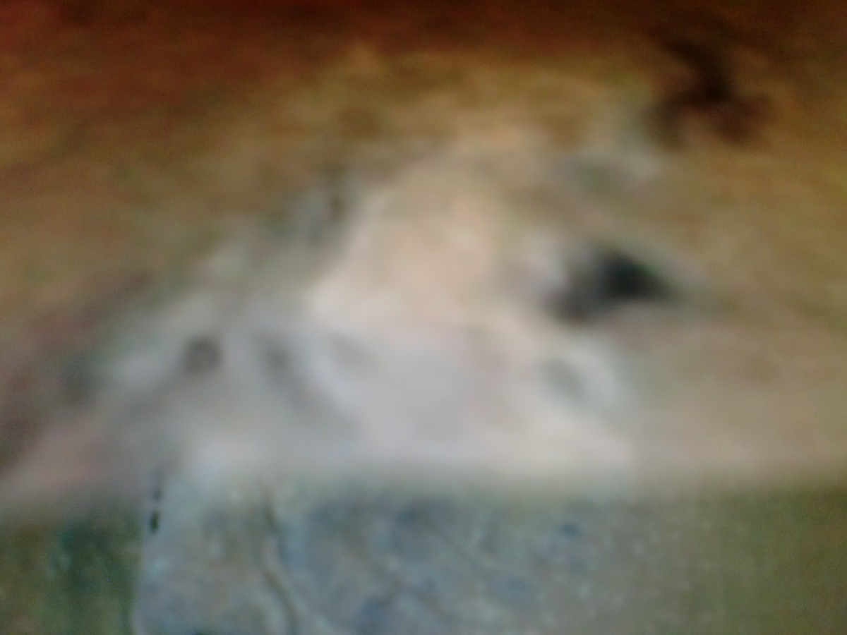 f:id:sun369:20210607080828j:plain