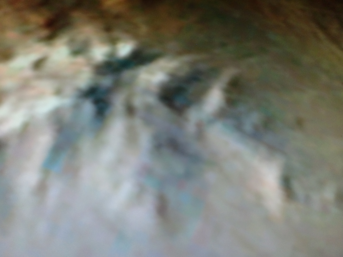 f:id:sun369:20210607080937j:plain