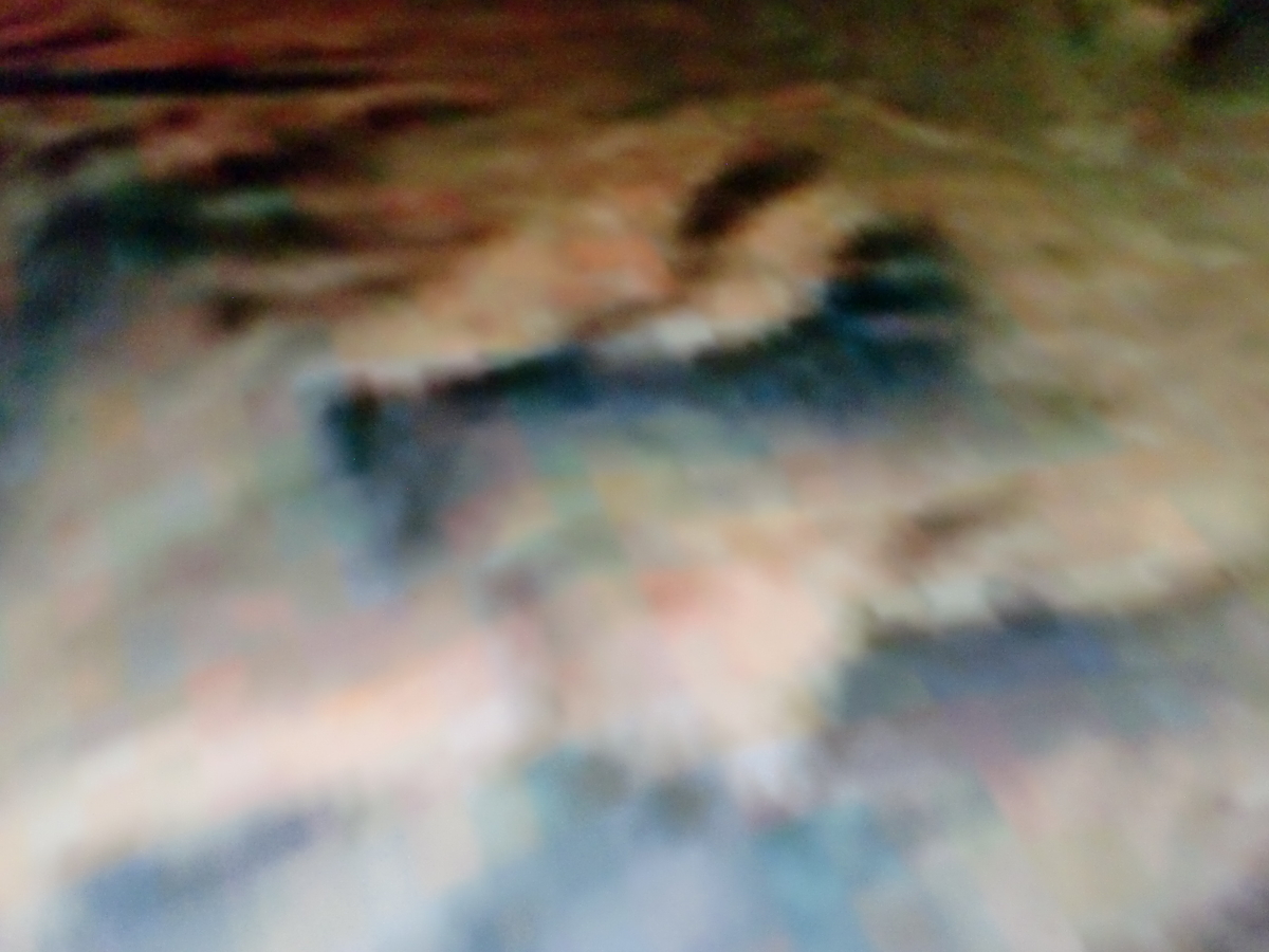 f:id:sun369:20210607081007j:plain