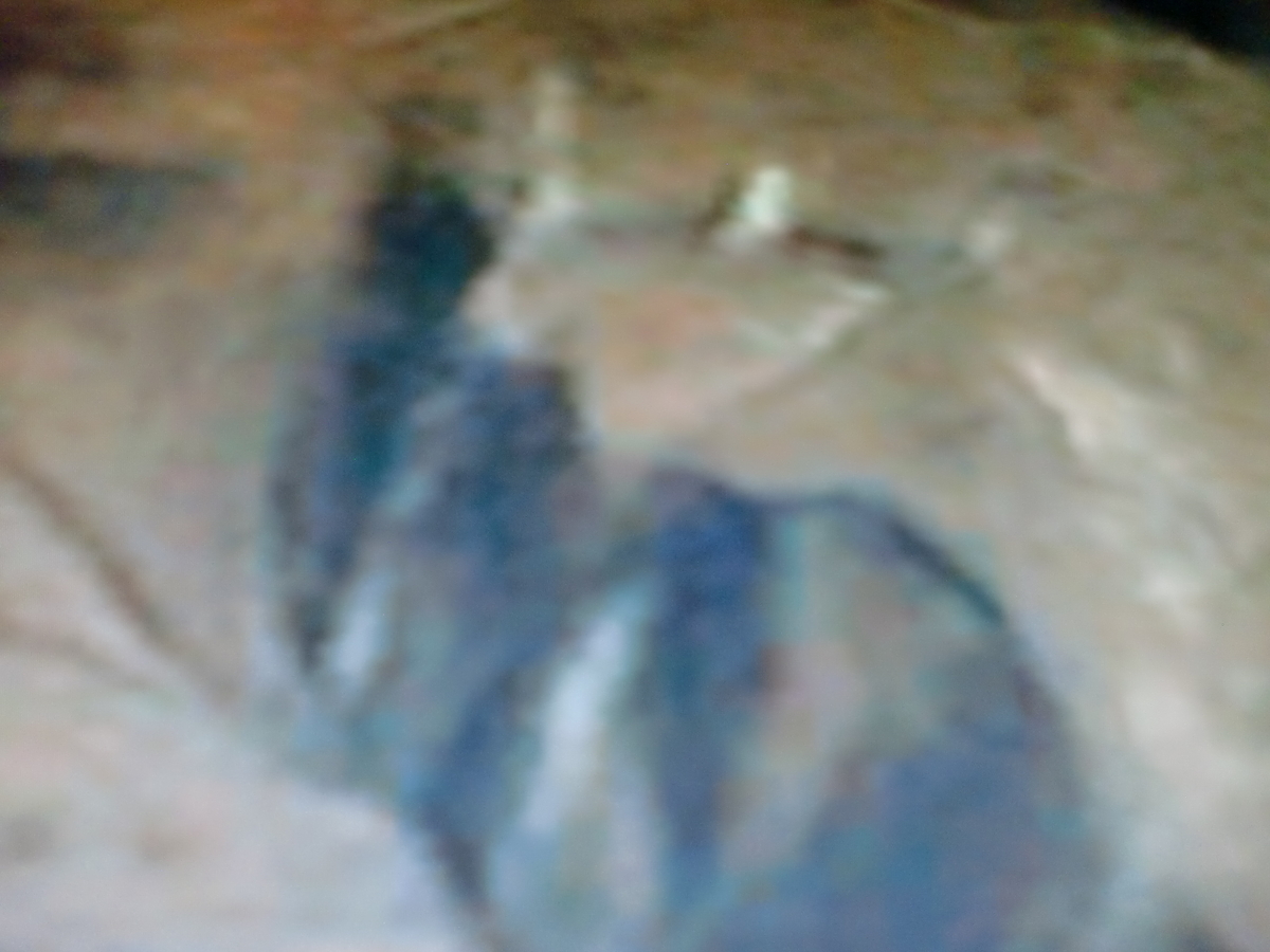 f:id:sun369:20210607081033j:plain