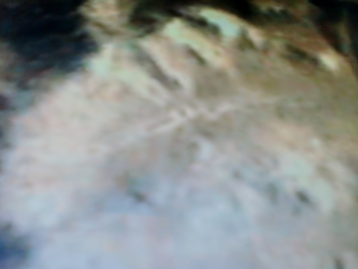 f:id:sun369:20210607081153j:plain
