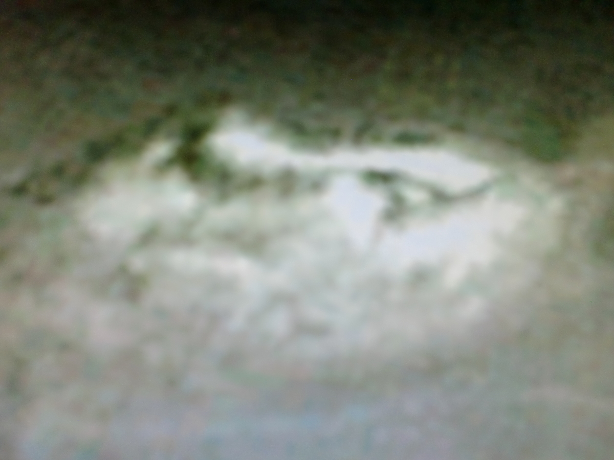 f:id:sun369:20210608053052j:plain