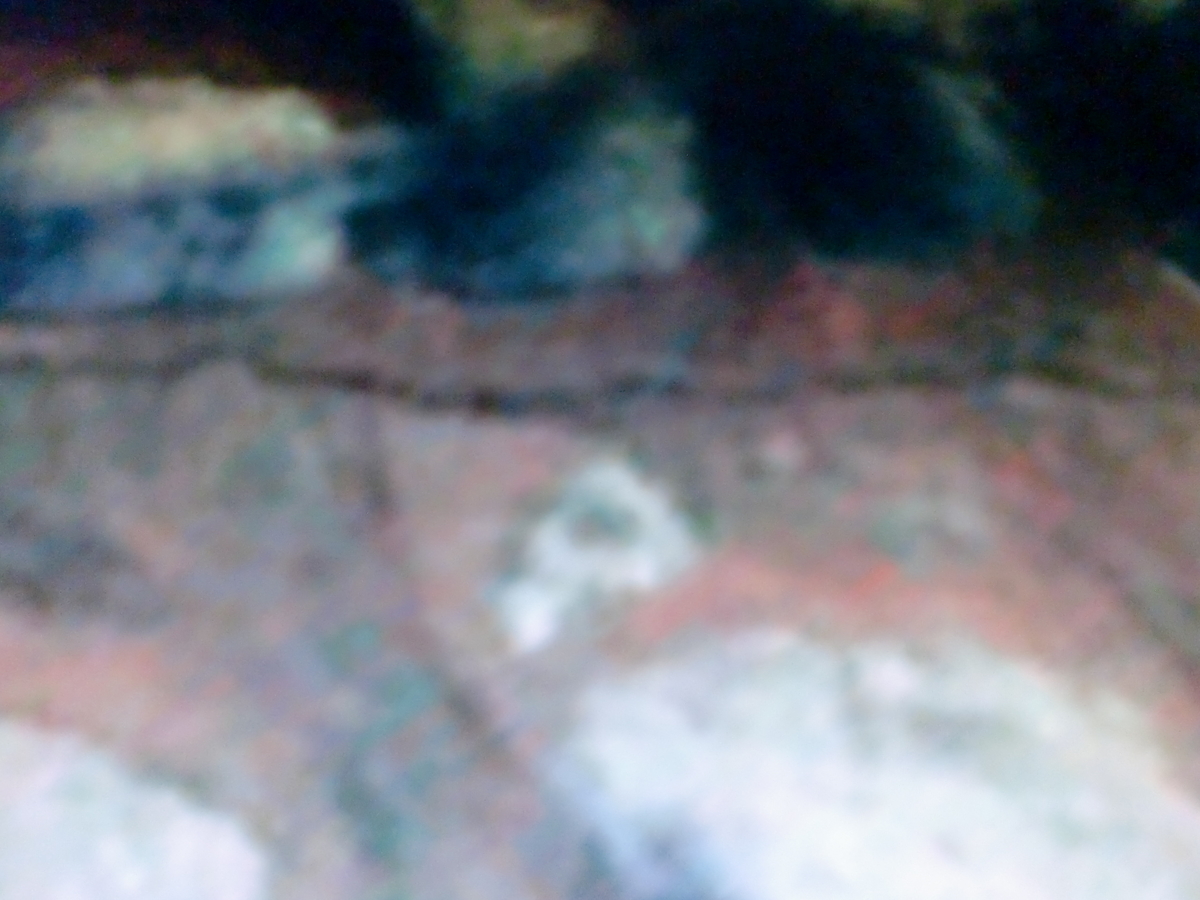 f:id:sun369:20210609050021j:plain