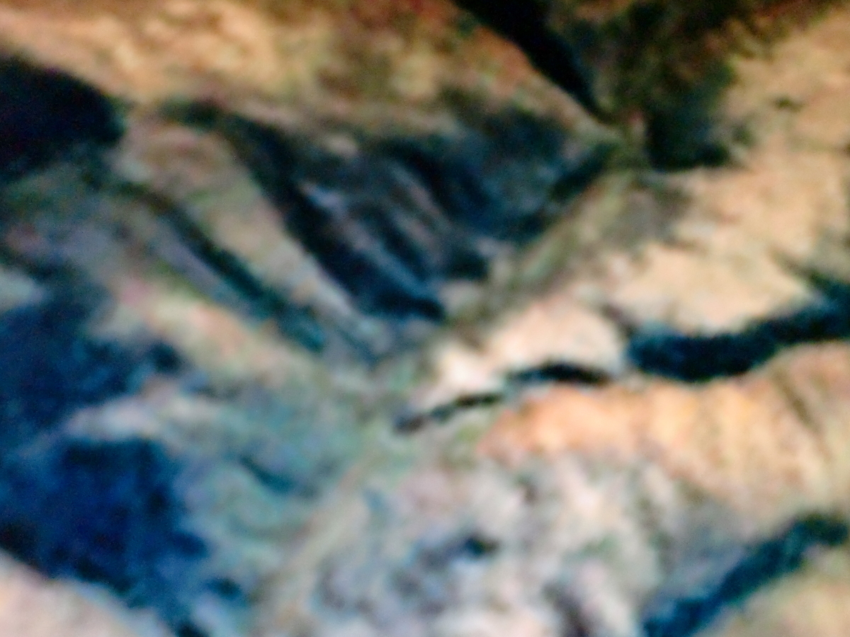 f:id:sun369:20210609050036j:plain