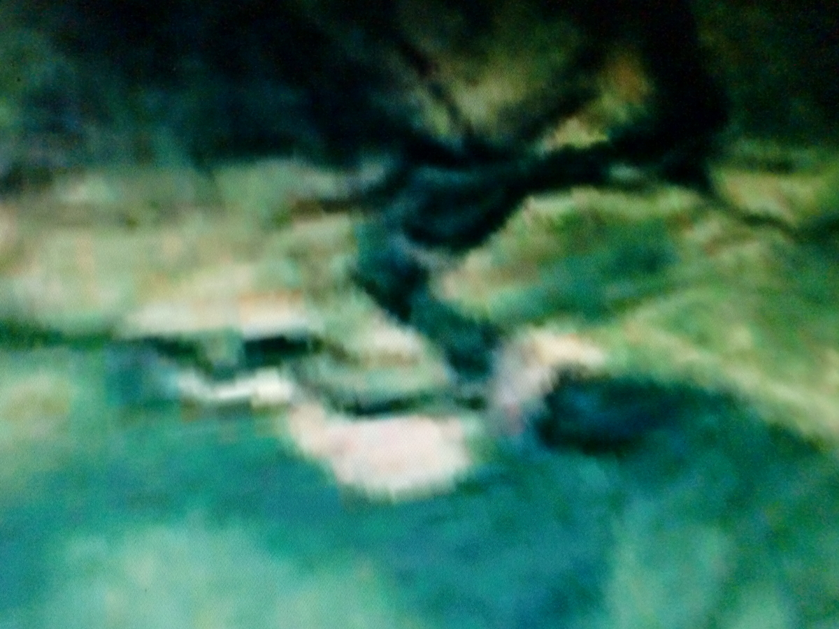f:id:sun369:20210609050113j:plain