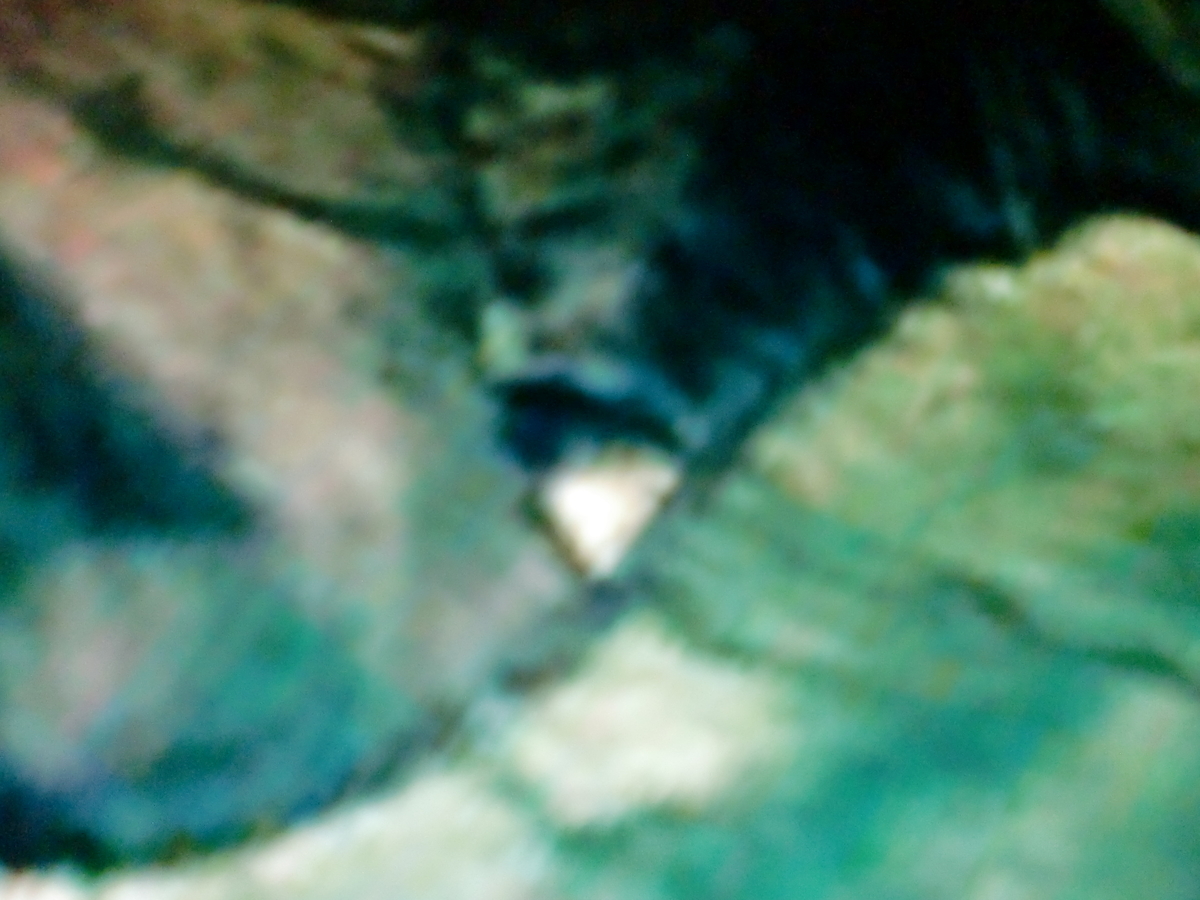 f:id:sun369:20210609050138j:plain
