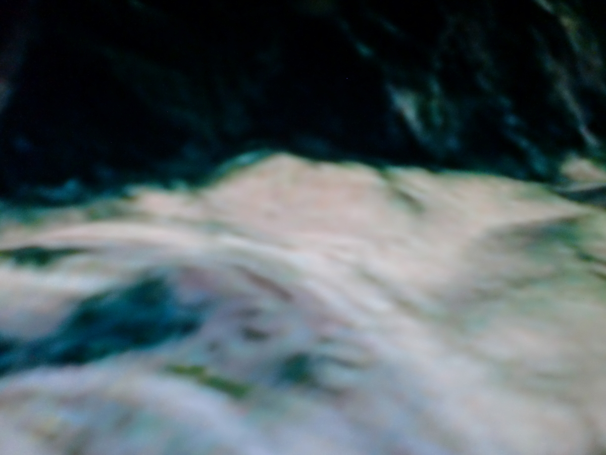 f:id:sun369:20210609050158j:plain