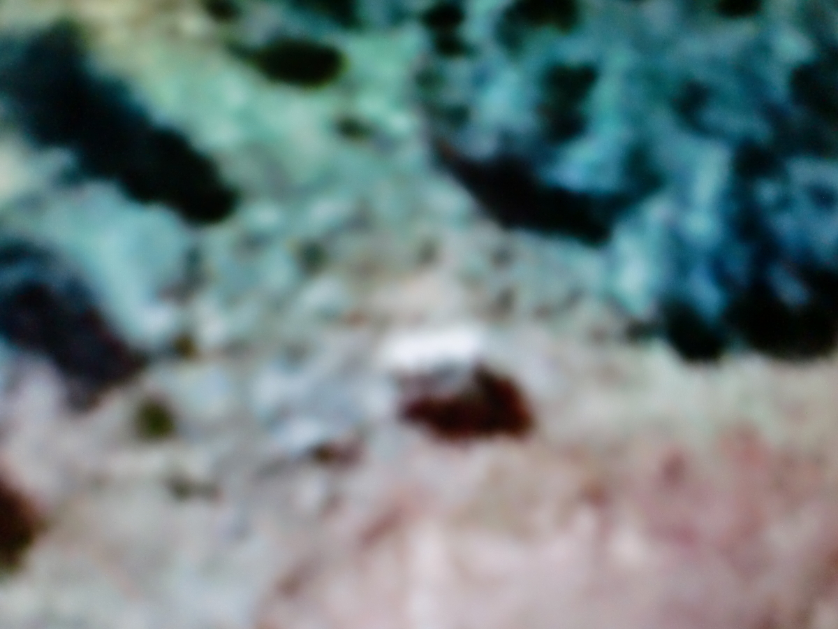 f:id:sun369:20210609050306j:plain