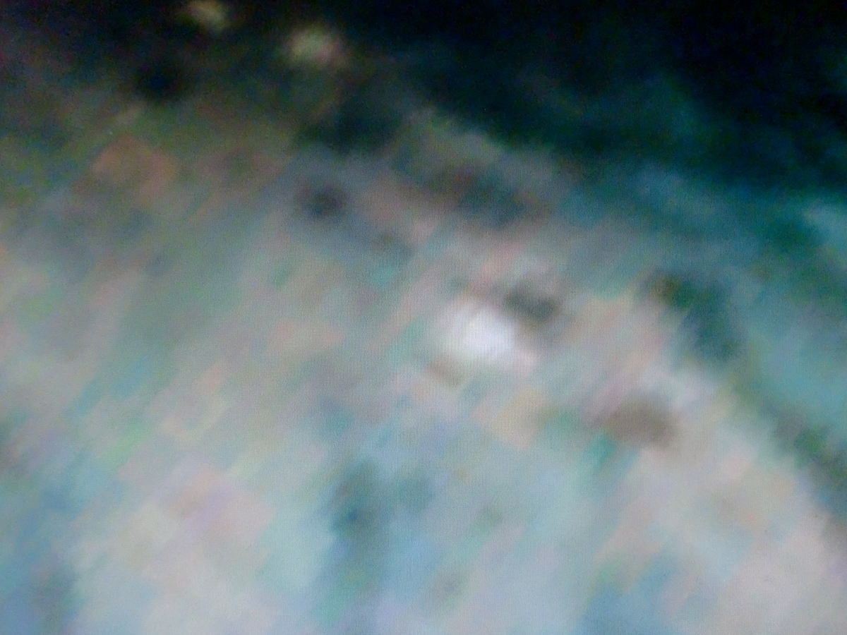 f:id:sun369:20210610050809j:plain