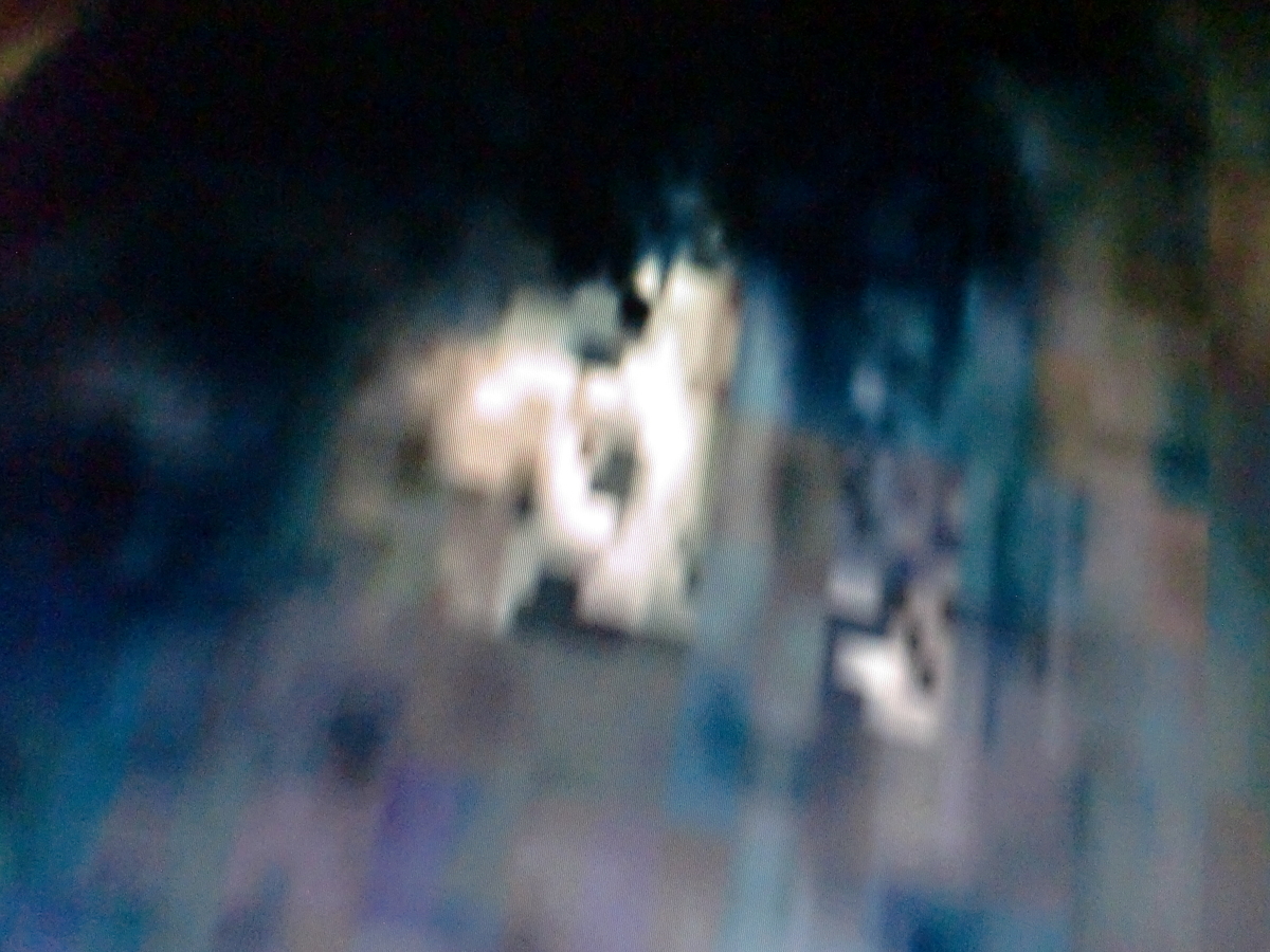 f:id:sun369:20210610050912j:plain