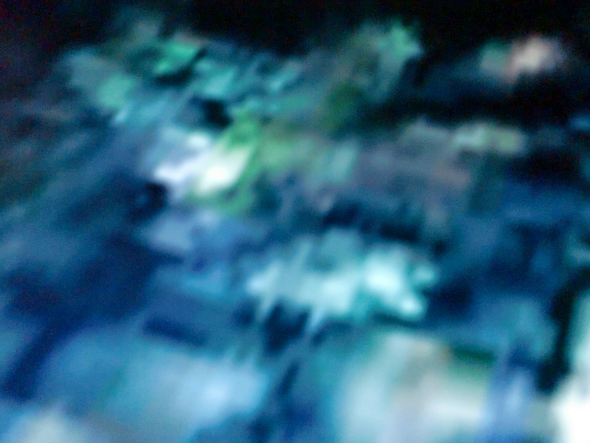 f:id:sun369:20210610051241j:plain