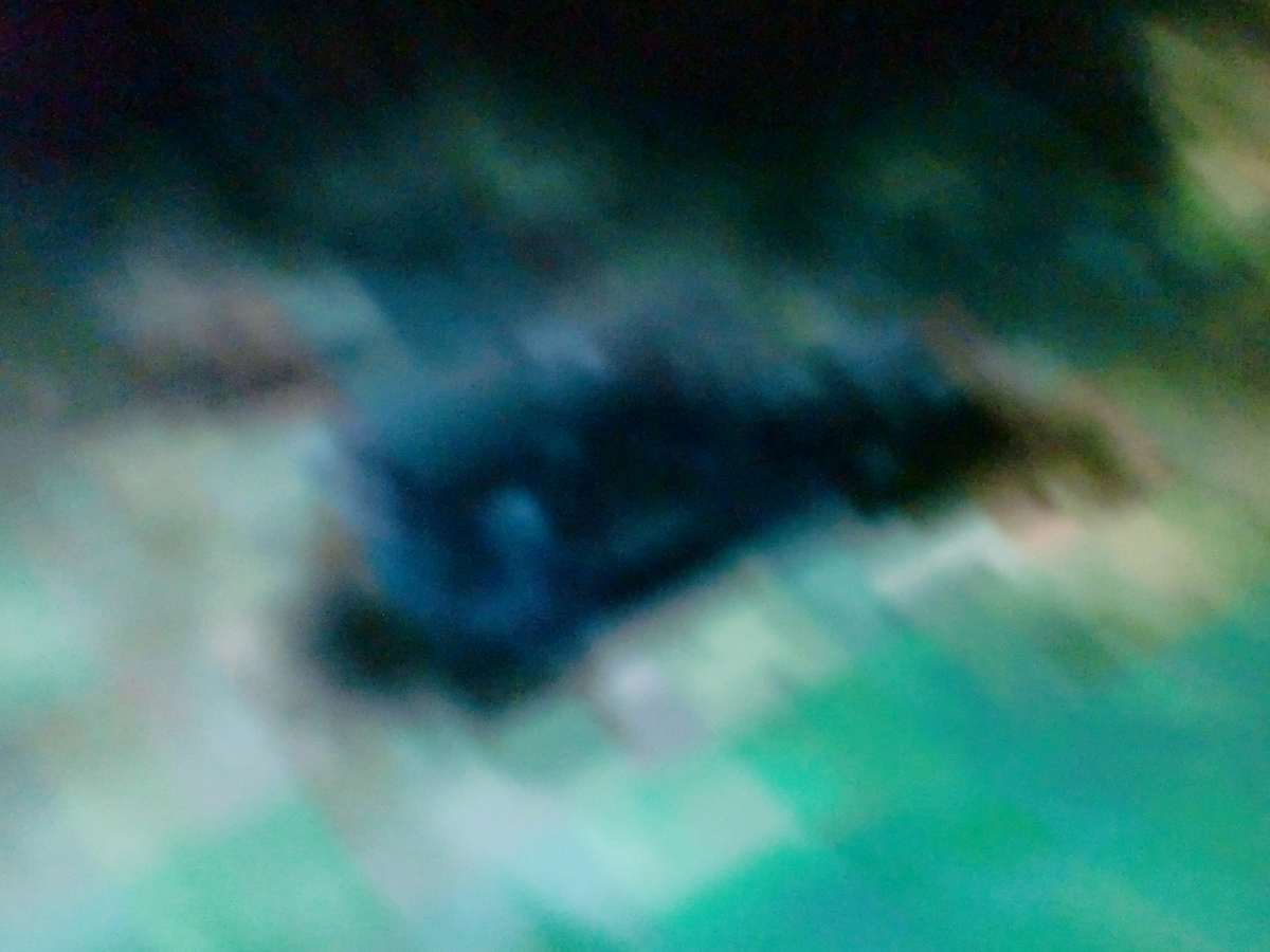 f:id:sun369:20210618061117j:plain