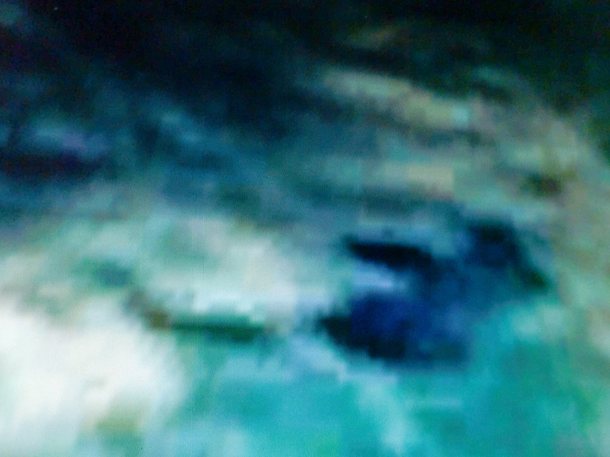 f:id:sun369:20210618061148j:plain