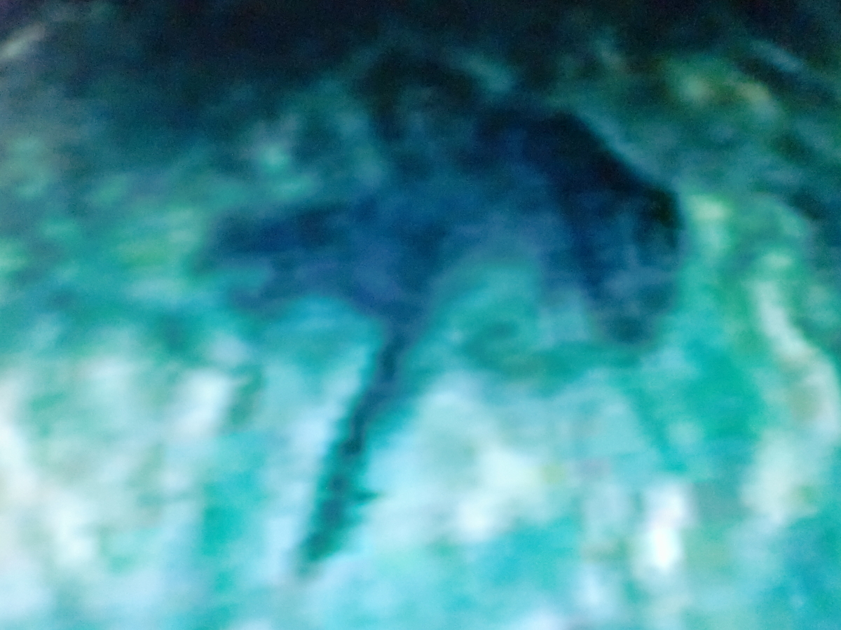 f:id:sun369:20210618061254j:plain