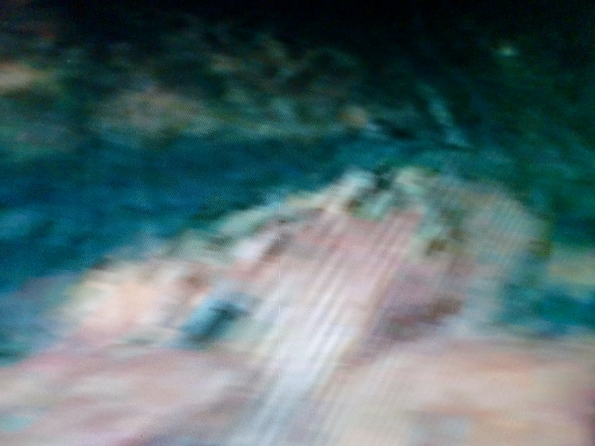 f:id:sun369:20210618061334j:plain