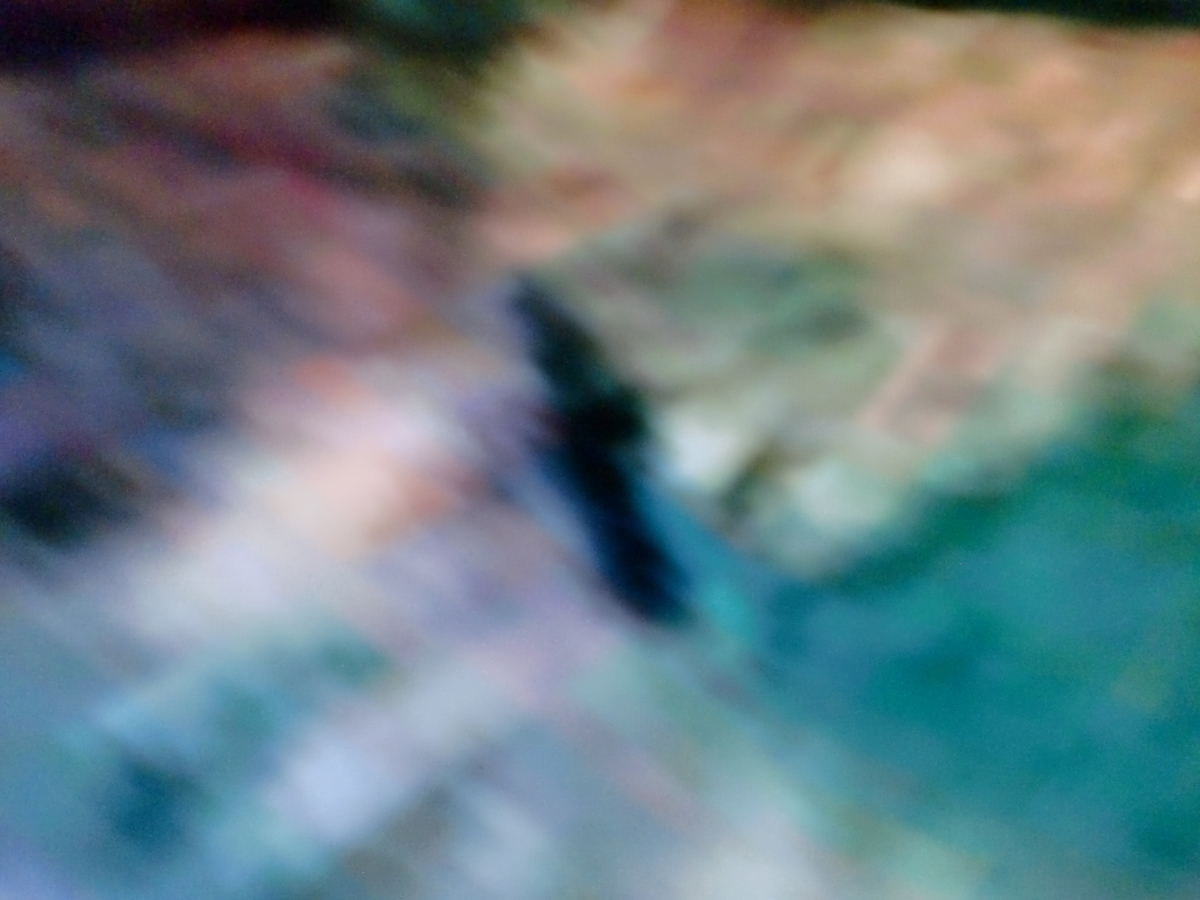 f:id:sun369:20210618061350j:plain