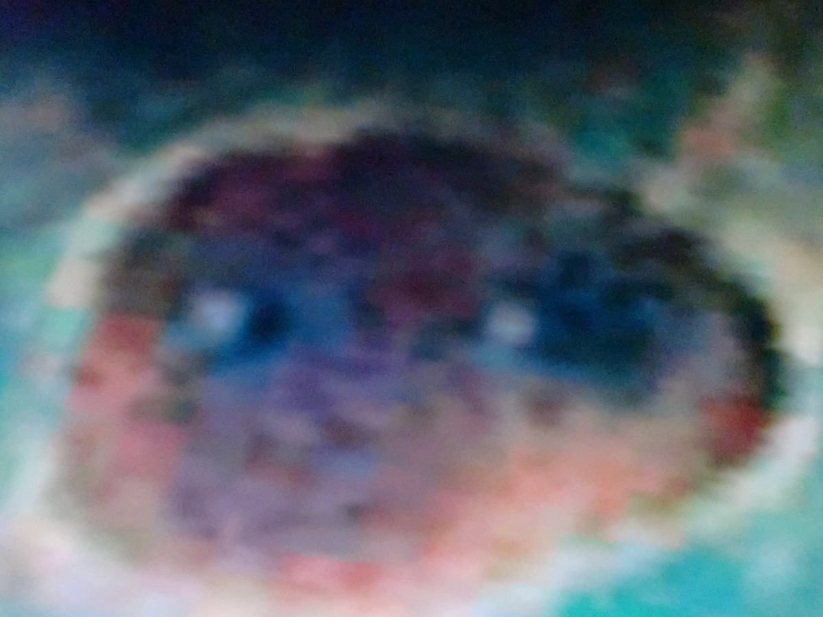 f:id:sun369:20210618061406j:plain