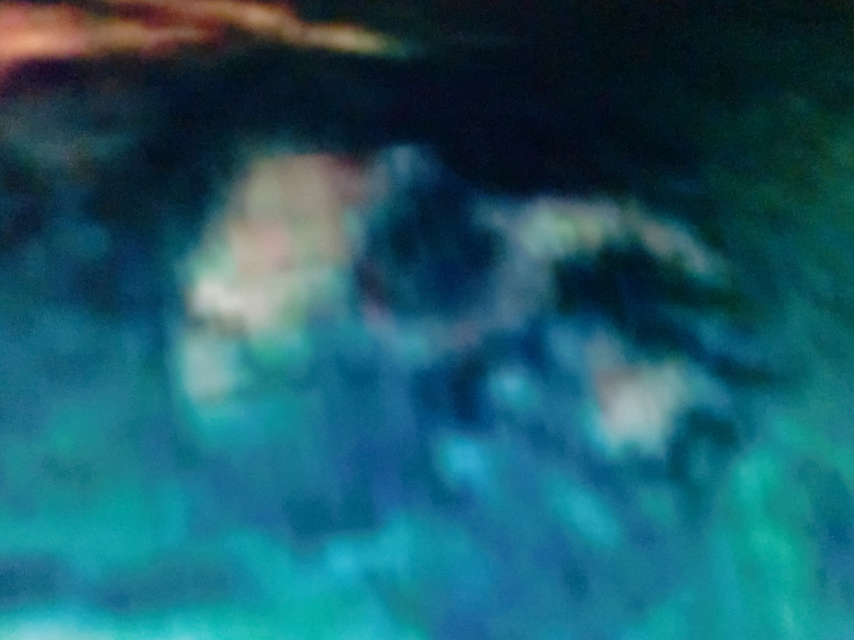 f:id:sun369:20210618061427j:plain