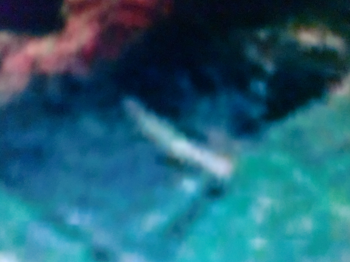 f:id:sun369:20210618061452j:plain