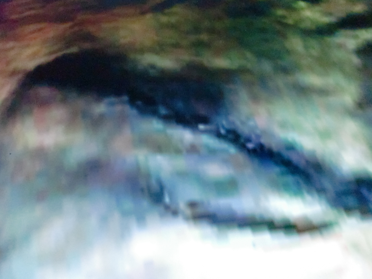 f:id:sun369:20210620060515j:plain