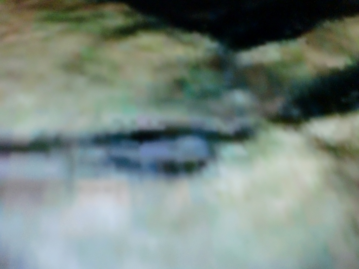 f:id:sun369:20210620060544j:plain