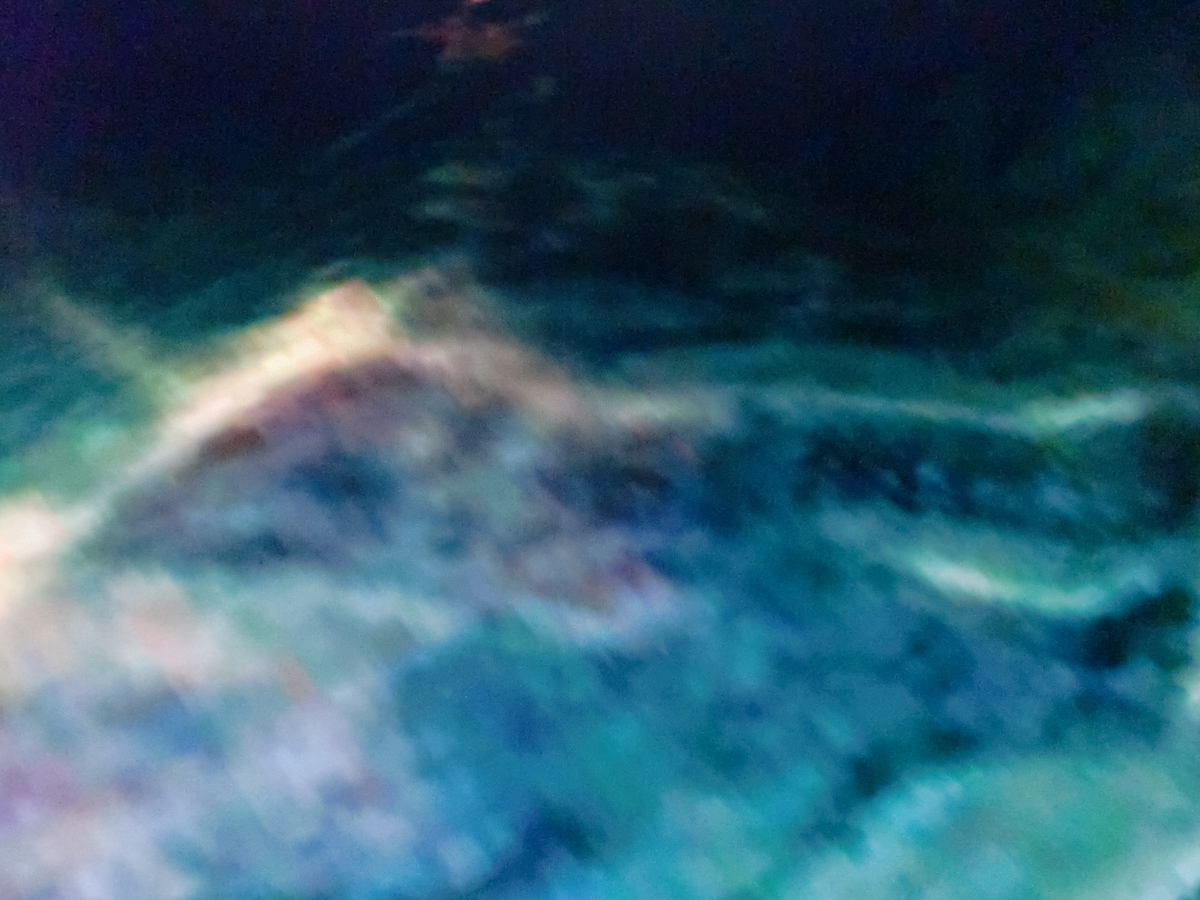 f:id:sun369:20210621053220j:plain