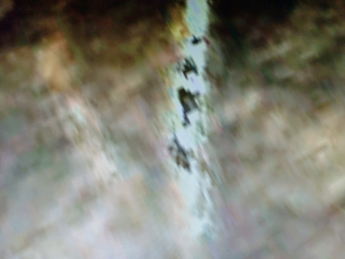 f:id:sun369:20210623120235j:plain