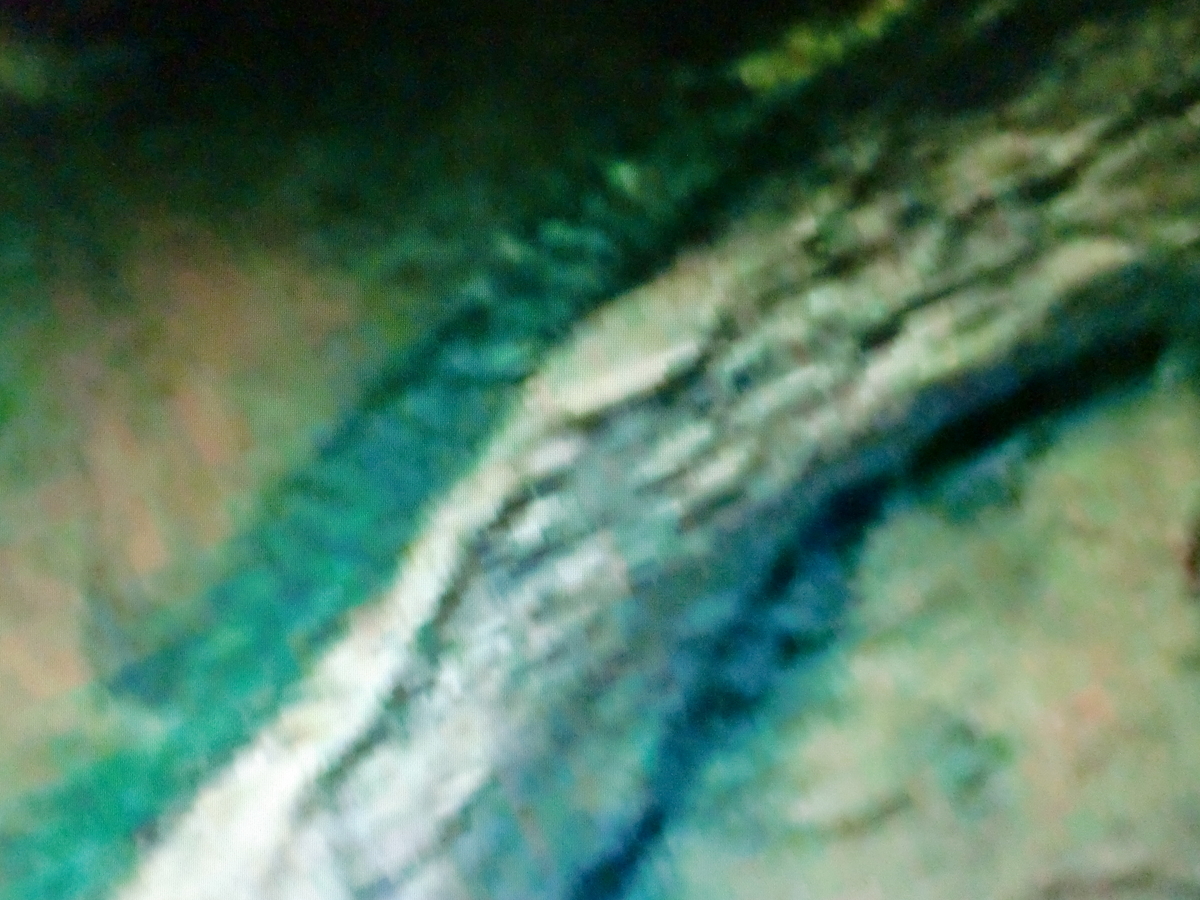 f:id:sun369:20210623122743j:plain