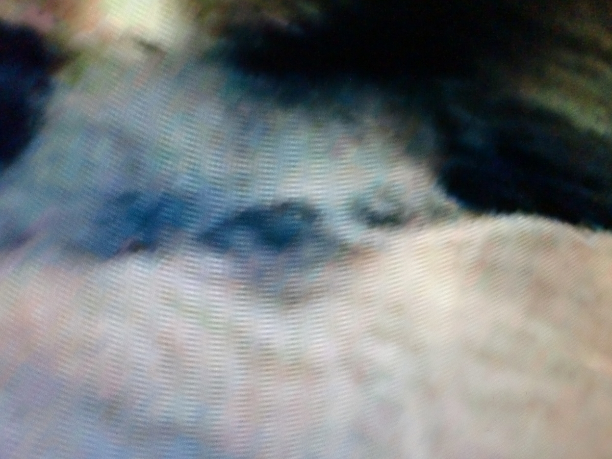 f:id:sun369:20210626054118j:plain