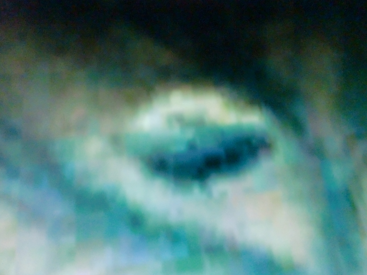 f:id:sun369:20210628055431j:plain