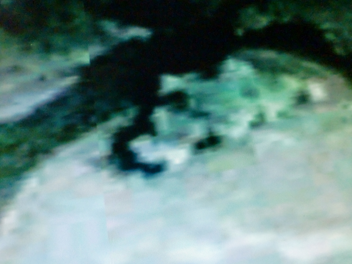 f:id:sun369:20210628055509j:plain