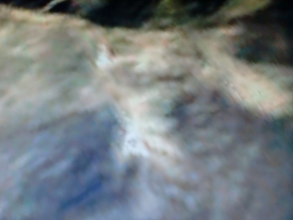 f:id:sun369:20210701160716j:plain