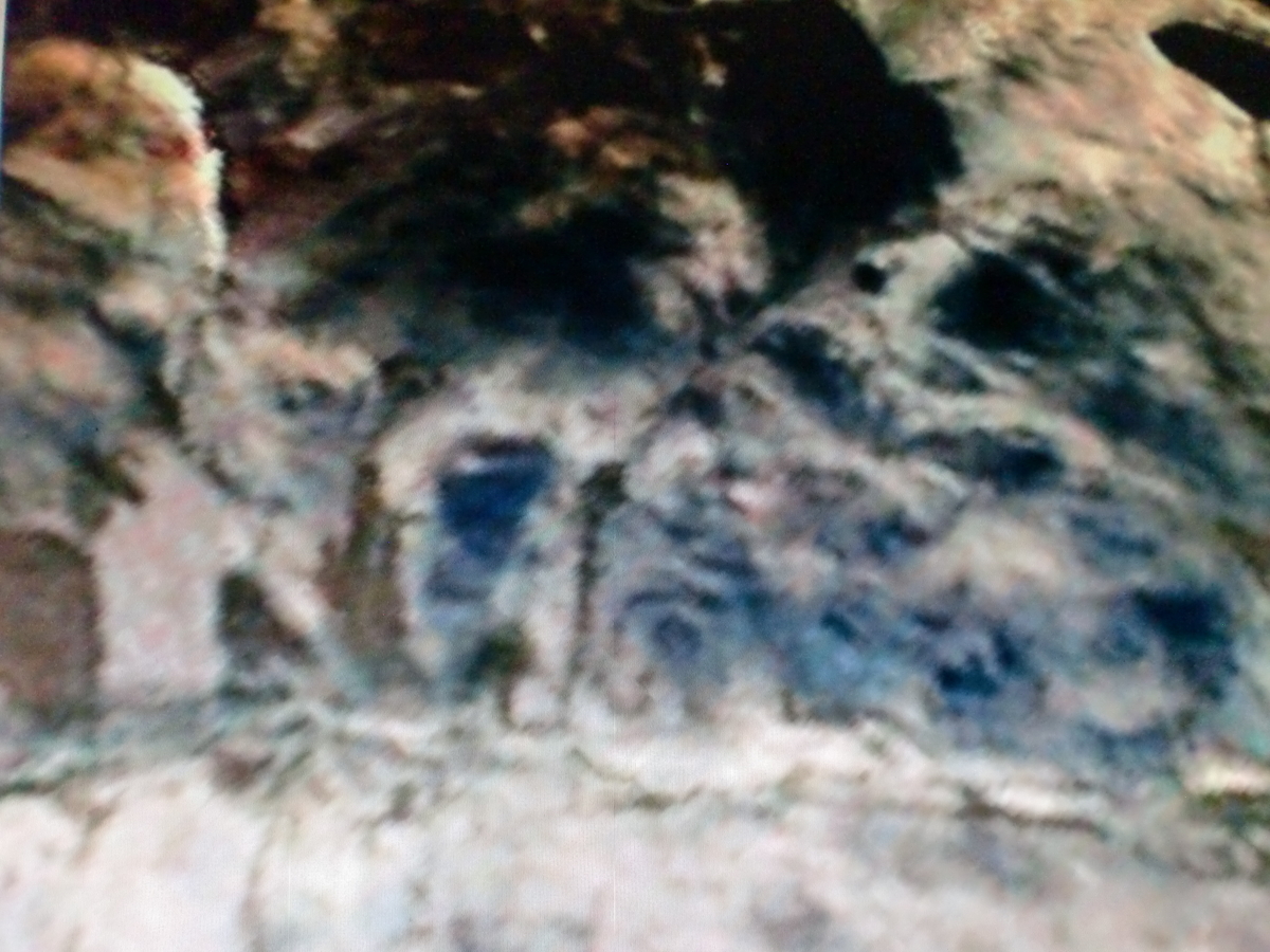f:id:sun369:20210701161029j:plain