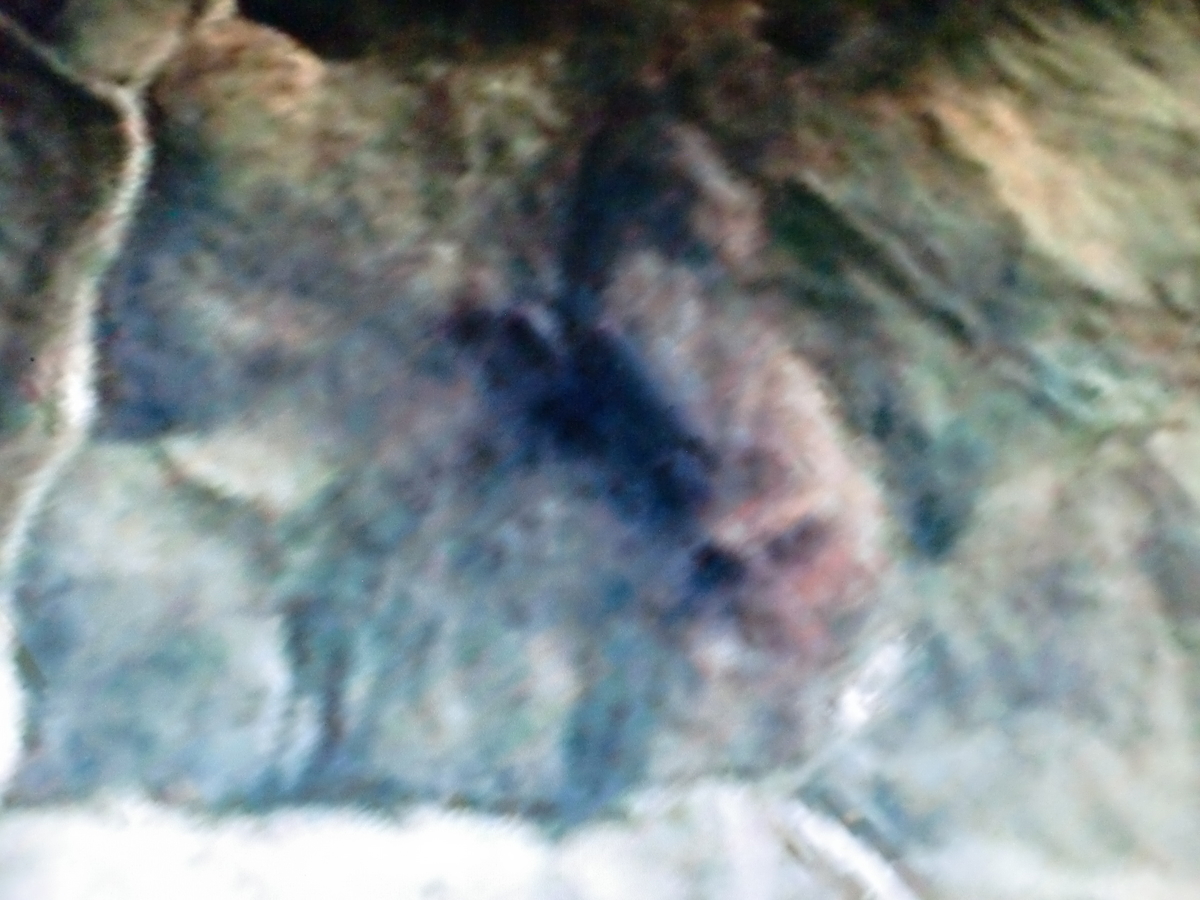 f:id:sun369:20210701161412j:plain