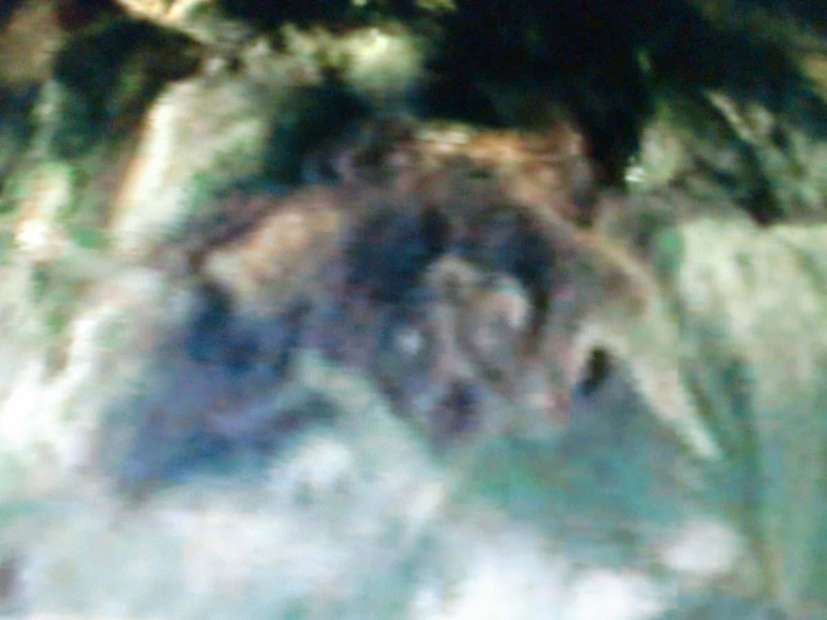 f:id:sun369:20210701161448j:plain