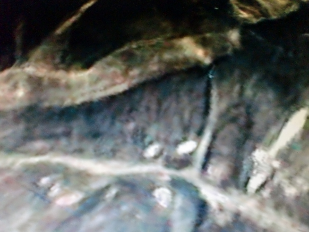 f:id:sun369:20210701161626j:plain