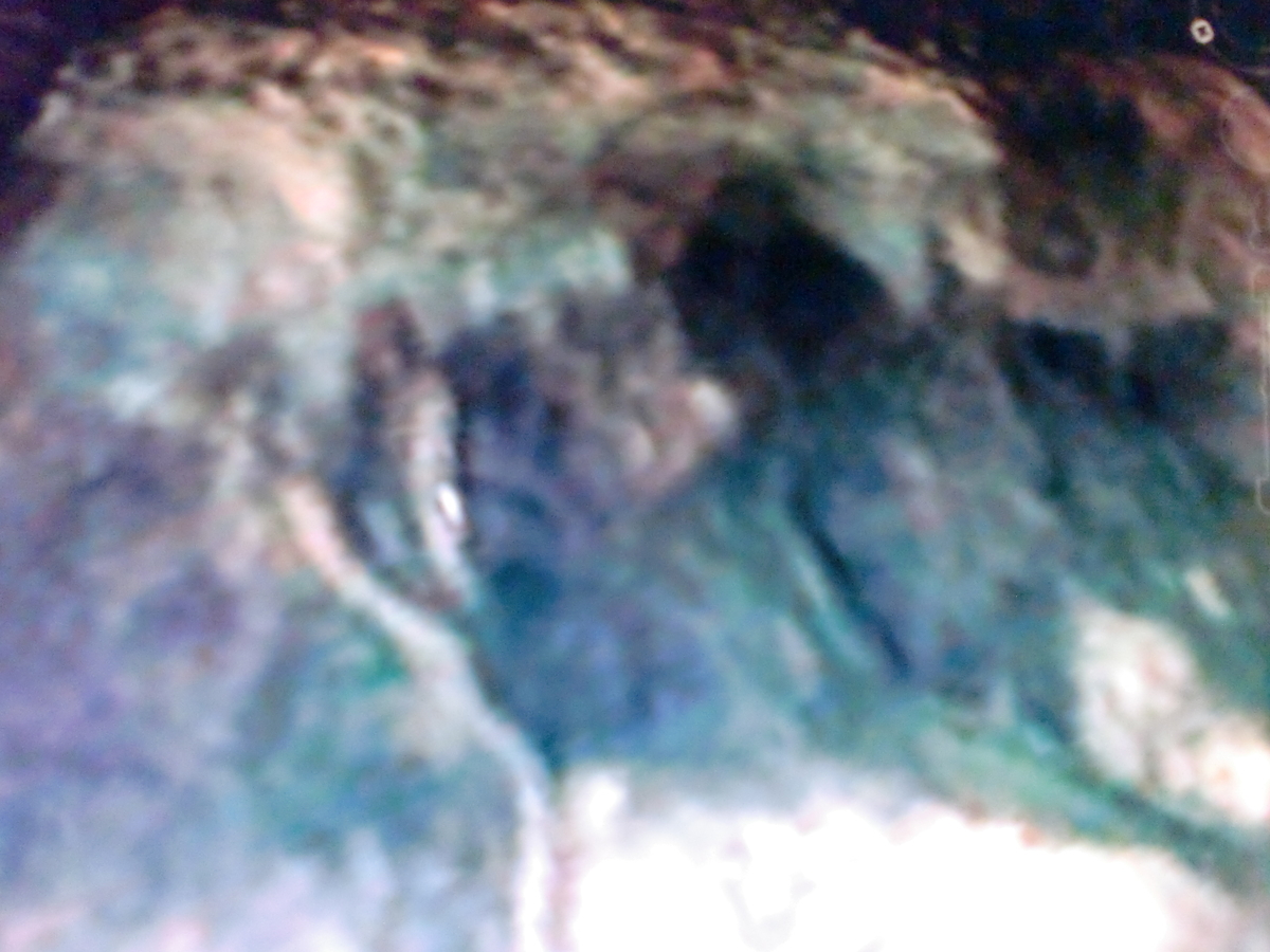 f:id:sun369:20210701161943j:plain