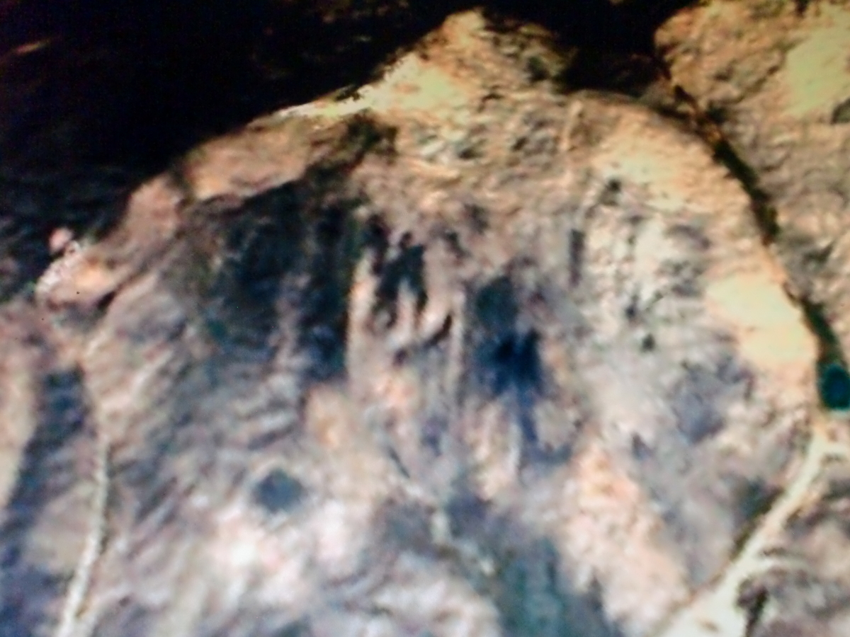 f:id:sun369:20210701162258j:plain