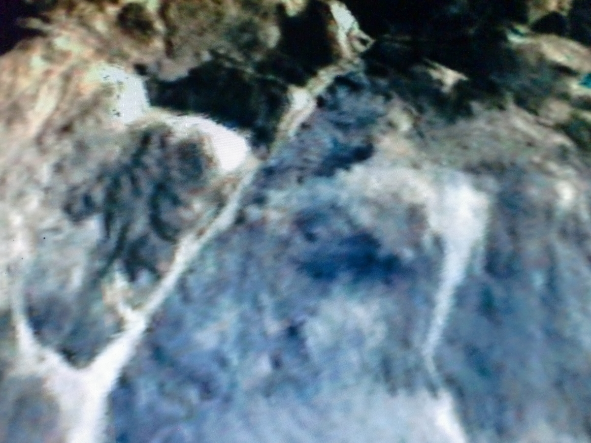 f:id:sun369:20210701162456j:plain