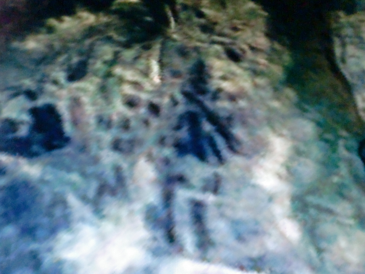 f:id:sun369:20210701162637j:plain