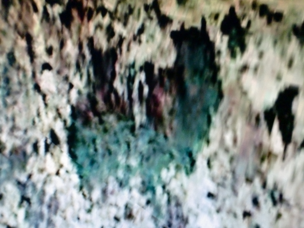 f:id:sun369:20210702023225j:plain