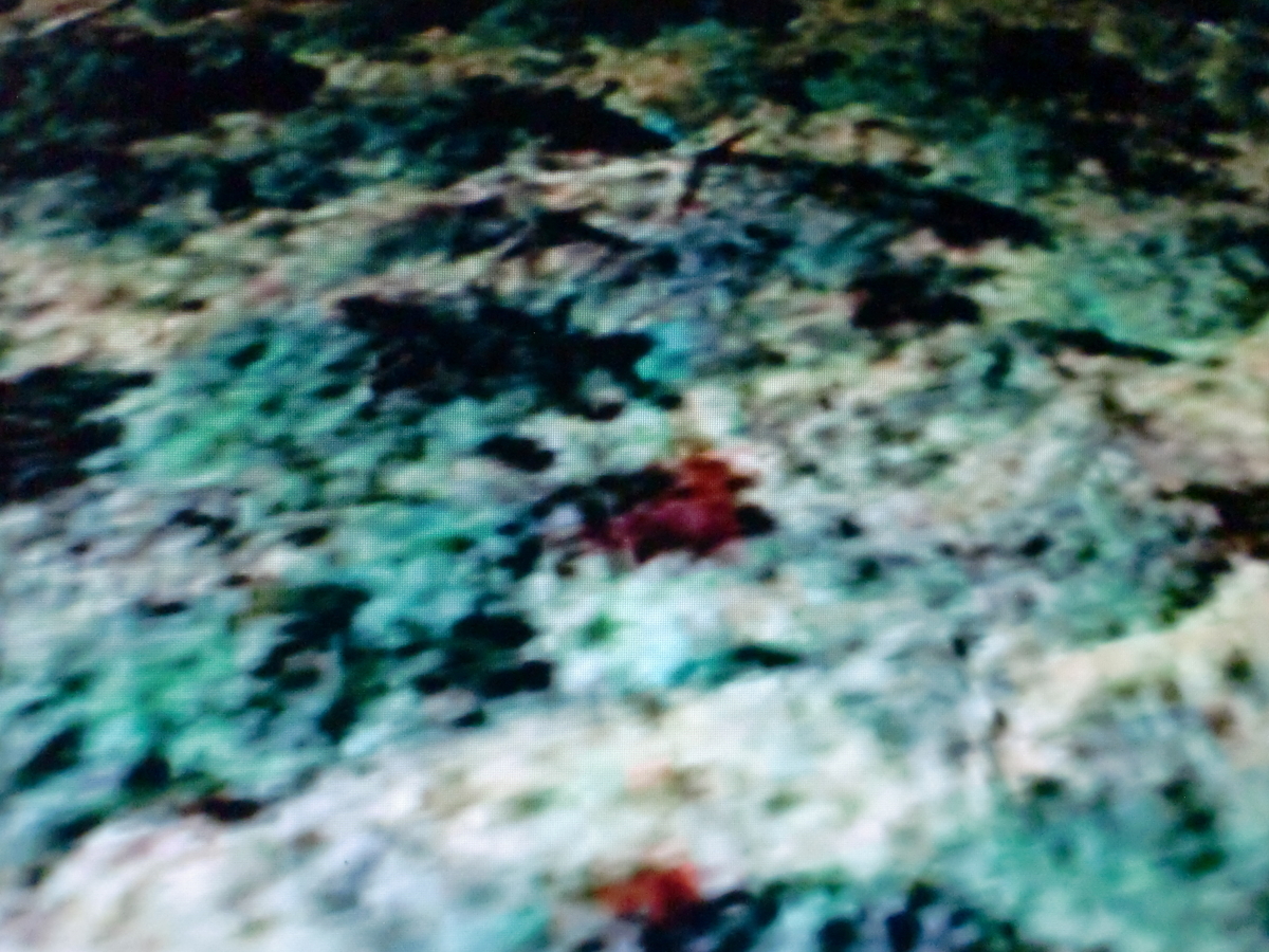 f:id:sun369:20210702023600j:plain
